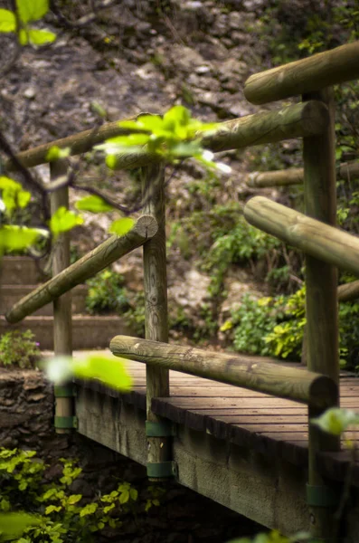 wooden bridge to dare the river and reach the stairs to the monastery of montserrat, surrounded by trees and falling leaves