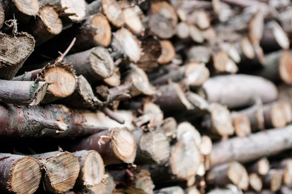 Firewood — Stock Photo, Image