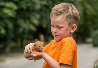 Kırmızı kedi elinde. Çocukların elinde küçük bir kedi yavrusu. Turuncu tişörtlü kızıl saçlı çocuk kızıl kediyle ilgileniyor. Doğumdan itibaren hafta