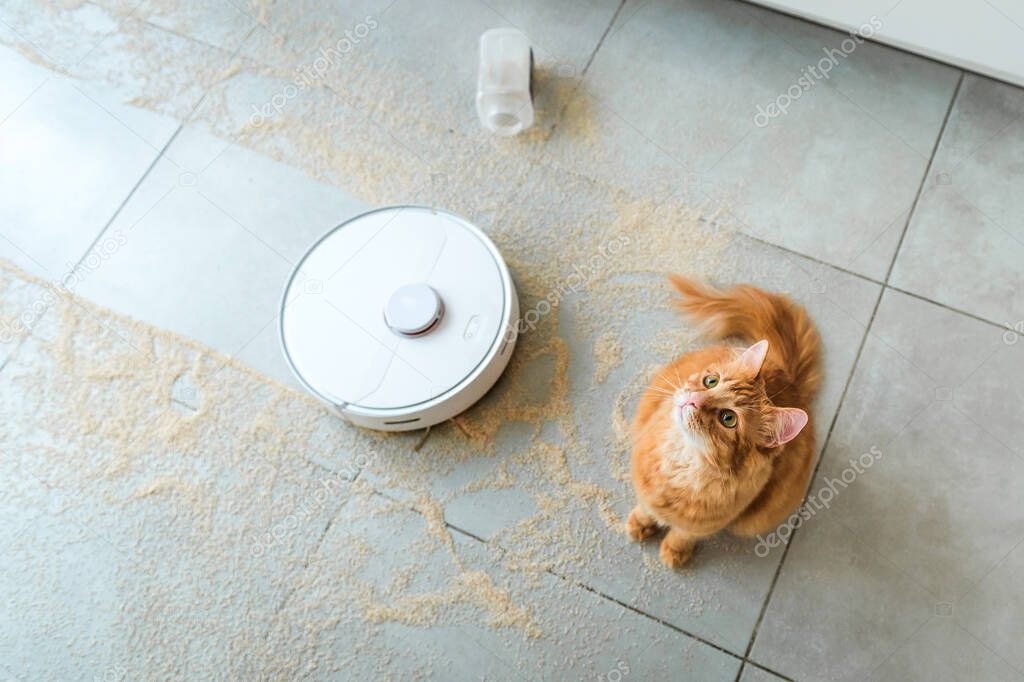 Ginger cat dropped the jar with grains from kitchen table. Robotic vacuum cleaner on tile floor full of mess. Smart cleaning technology for human faults.
