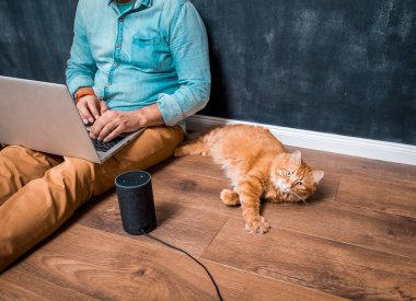 Komik, tembel, kırmızı kedi evcil hayvanıyla evden çalışmak. Ahşap zeminde dizüstü bilgisayarı ve akıllı Alexa hoparlörüyle oturan adam. Zencefilli kedi yalan söylüyor. Merkez ofis. Uzak çalışma