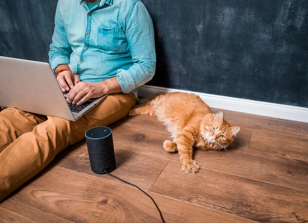 Trabajar Desde Casa Con Mascota Divertida Gato Rojo Perezoso Hombre — Foto de Stock