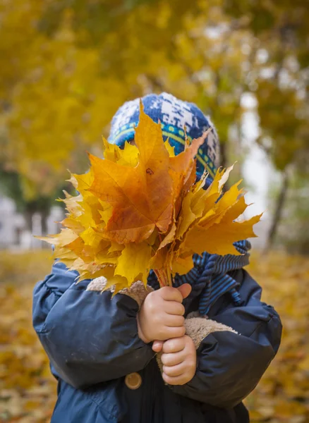 Маленький забавный мальчик закрывает лицо букетом осенних листьев в парке — стоковое фото