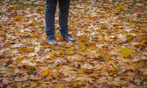 Bild der Beine in Stiefeln auf den Herbstblättern. Wanderschuhe in der Natur — Stockfoto