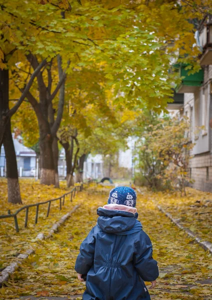 Маленький мальчик уходит с яркой осенней дорожки — стоковое фото