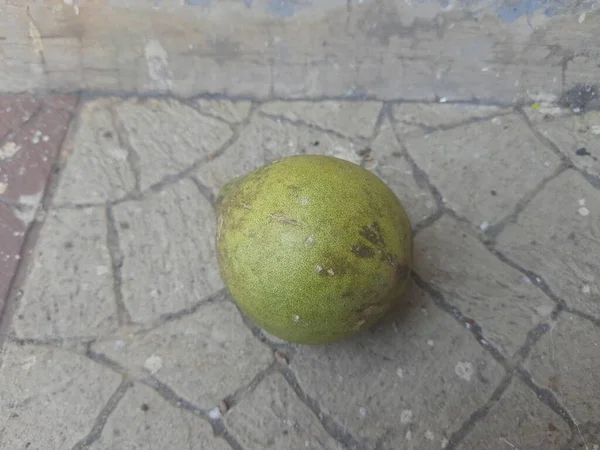 Fruta Bael Aegle Marmelos Comumente Conhecido Como Bael Bili Bhel — Fotografia de Stock