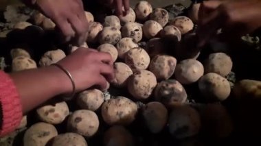 Aile litti yapar. Litti Bihari Gıda Sattu Litty, Hint Yemekleri. Litti, Hindistan 'ın Bihar, Jharkhand ve Uttar Pradesh eyaletlerinde popüler bir yemek türüdür..