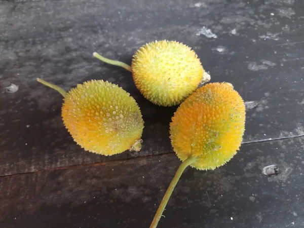 Cabos Chá Frescos Momordica Dioica Uma Planta Com Flor Família — Fotografia de Stock