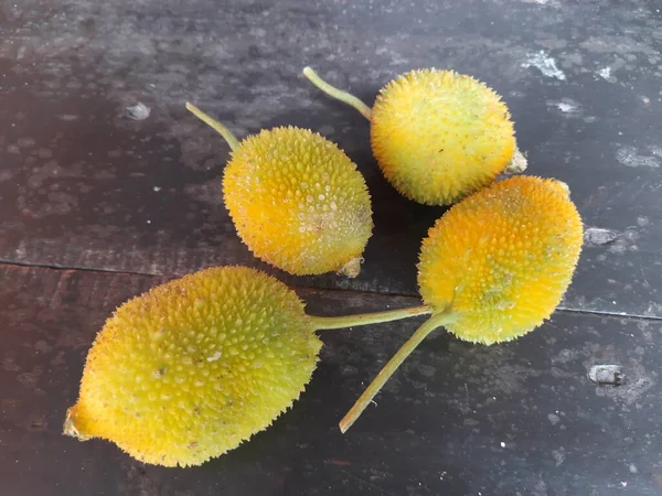 Cabos Chá Frescos Momordica Dioica Uma Planta Com Flor Família — Fotografia de Stock