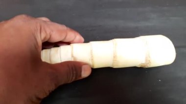 Bambu filizleri. Bambu filizleri, Bambusa vulgaris ve Phyllostachys edulis gibi birçok bambu türünün yenilebilir filizleridir. Birçok Asya yemeği ve çorbasında sebze olarak kullanılır..
