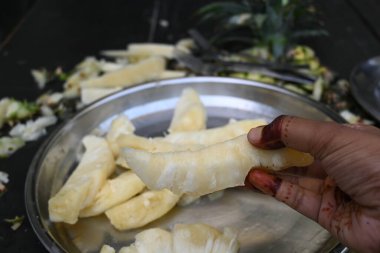 Pineapple or Ananas comosus chopping with knife. It is atropical plantwith an edible fruit. It is plant in the familyBromeliaceae. Fruits cutting. 