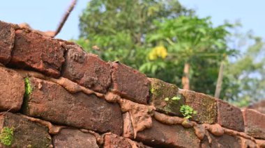 İnşaat alanına tuğla döşeyen bir Mason duvar ustası. İnşaat işçilerinin elinde kürek. Tuğlacı yeni konut inşaatına harç tuğlası döşüyordu. İnşaat işçisinin eli..