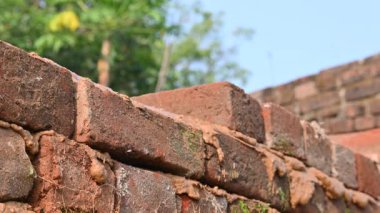 İnşaat alanına tuğla döşeyen bir Mason duvar ustası. İnşaat işçilerinin elinde kürek. Tuğlacı yeni konut inşaatına harç tuğlası döşüyordu. İnşaat işçisinin eli..