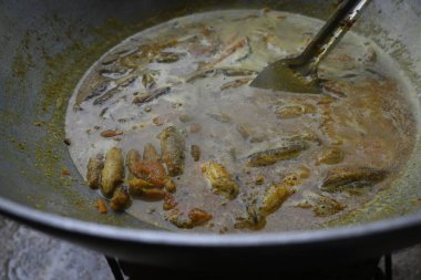 Küçük Yılankafa ya da Channa orientalis balığı. Geleneksel Asya balık köri yemeği. Hint mutfağı Bengali Balık Körisi. Asya yemeği ve yemeği. Lezzetli Hint balığı körisi. Hint yemeği..