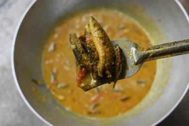 Küçük Yılankafa ya da Channa orientalis balığı. Geleneksel Asya balık köri yemeği. Hint mutfağı Bengali Balık Körisi. Asya yemeği ve yemeği. Lezzetli Hint balığı körisi. Hint yemeği..