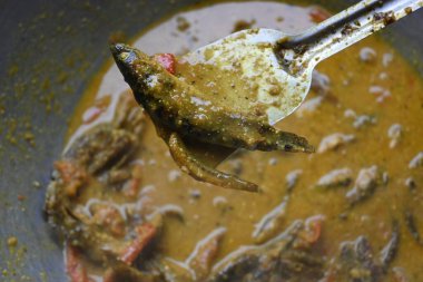 Küçük Yılankafa ya da Channa orientalis balığı. Geleneksel Asya balık köri yemeği. Hint mutfağı Bengali Balık Körisi. Asya yemeği ve yemeği. Lezzetli Hint balığı körisi. Hint yemeği..