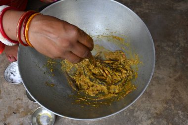 Küçük Yılankafa ya da Channa orientalis balığı. Geleneksel Asya balık köri yemeği. Hint mutfağı Bengali Balık Körisi. Asya yemeği ve yemeği. Lezzetli Hint balığı körisi. Hint yemeği..