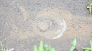 Suyun iç akışı kumda sürekli kabarcıklara neden olur. Yağmur mevsiminde bu tür doğal bahar dağlık bölgelerde görülebilir..