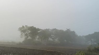 Yoğun bir sabah sisi altında sakin bir manzara. Önplanda, yeşil ağaçlar ve yapraklar uzak tarlaların ve ormanların puslu görüntüsü, sessiz, atmosferik ve doğal bir manzara yaratıyor..