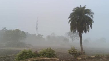 Yoğun bir sabah sisi altında sakin bir manzara. Önplanda, yeşil ağaçlar ve yapraklar uzak tarlaların ve ormanların puslu görüntüsü, sessiz, atmosferik ve doğal bir manzara yaratıyor..
