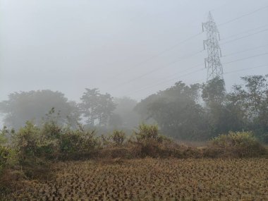 Yoğun bir sabah sisi altında sakin bir manzara. Önplanda, yeşil ağaçlar ve yapraklar uzak tarlaların ve ormanların puslu görüntüsü, sessiz, atmosferik ve doğal bir manzara yaratıyor..