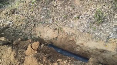 Bir kazıcı, boru döşemek için dar bir çukur kazmak için kovasını kullanır. Çalıların ve bitkilerin yanındaki kuru, kahverengi toprağı kazıyor. Su boru hattı döşeme çalışmaları devam ediyor..