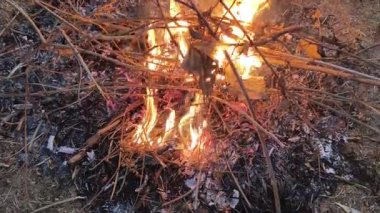 İnsanlar parlayan bir kamp ateşinde ellerini ve ayaklarını ısıtıyorlar. Parlak turuncu alevler kömürleşmiş odun ve gri kül arasında yanıp sönüyor. Soğuk havalarda vücudu sıcak tutmanın geleneksel bir yoludur..