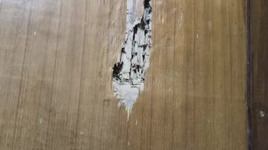 Hasarlı ahşap bir kapı. Büyük, pürüzlü bir delik içerideki parçalanmış beyaz dokuyu ortaya çıkarır. Bu da termit istilasını gösterir. Çevreleyen ahşap açık kahverengidir, içi ise içi boş ve çürüktür..