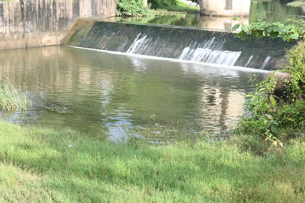 Küçük bir beton baraj nehri kaplar. Su merkezden akar ve beyaz bir köpük oluşturur. Ön ve yan tarafları çimen ve yeşil yapraklarla sınırlıdır. Sahne huzur dolu..