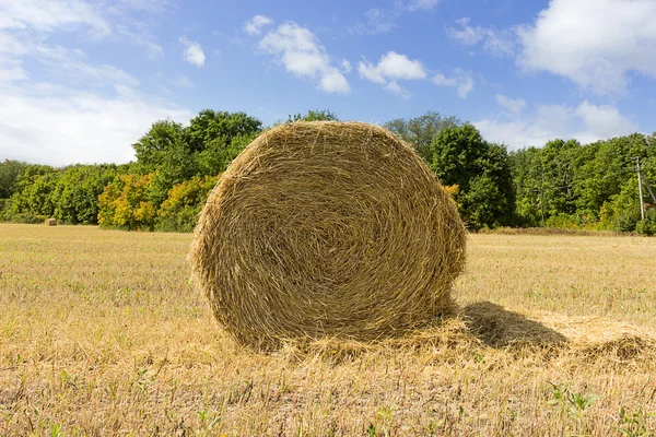 Höbalen i fältet skog bakgrunden — Stockfoto