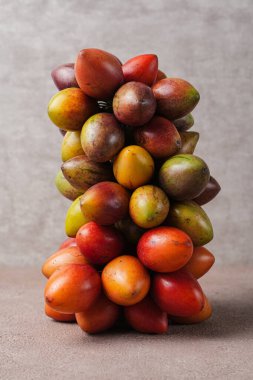 Tamarillo meyvesi (Endonezya: terong belanda). Hollanda yumurta planı