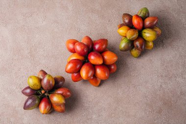 Tamarillo meyvesi (Endonezya: terong belanda). Hollanda yumurta planı