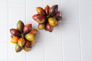 Tamarillo meyvesi (Endonezya: terong belanda). Hollanda yumurta planı