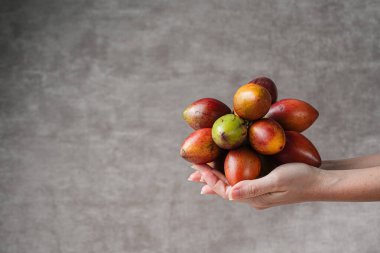 Tamarillo meyvesi (Endonezya: terong belanda). Hollanda yumurta planı