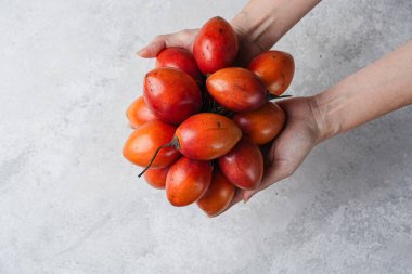 Tamarillo meyvesi (Endonezya: terong belanda). Hollanda yumurta planı