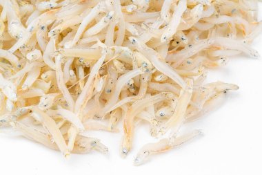 Beyaz Arkaplanda taze kurutulmuş ançüez. Çiğ tuzlanmış deniz balığı. Tuzlu su arısı balığı. Ikan asin teri medan.