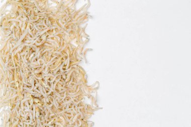 Beyaz Arkaplanda taze kurutulmuş ançüez. Çiğ tuzlanmış deniz balığı. Tuzlu su arısı balığı. Ikan asin teri medan.