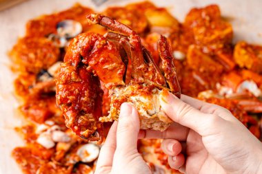 Yengeç soslu padang (Endonezya Kepiting Saus Padang). Acılı ve baharatlı Padang soslu yengeç..