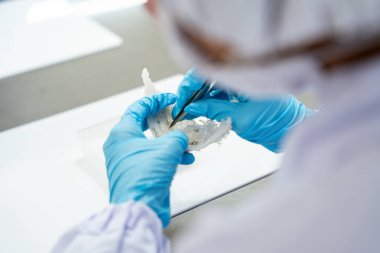 Çin tıbbı geleneği için çiğ yenebilir kuş yuvası malzemeleri. Yuvayı yut geleneksel Çin lezzeti.