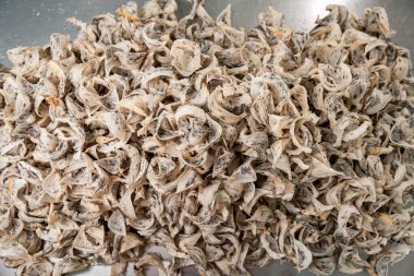 Çin tıbbı geleneği için çiğ yenebilir kuş yuvası malzemeleri. Yuvayı yut geleneksel Çin lezzeti.