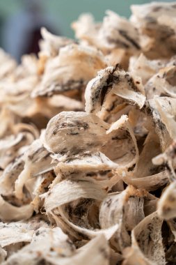 Çin tıbbı geleneği için çiğ yenebilir kuş yuvası malzemeleri. Yuvayı yut geleneksel Çin lezzeti.