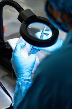 Çin tıbbı geleneği için çiğ yenebilir kuş yuvası malzemeleri. Yuvayı yut geleneksel Çin lezzeti.