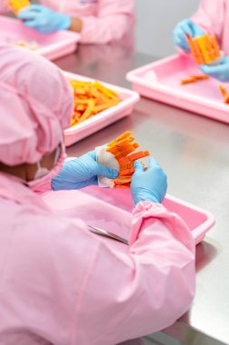 Çin tıbbı geleneği için çiğ yenebilir kuş yuvası malzemeleri. Yuvayı yut geleneksel Çin lezzeti.