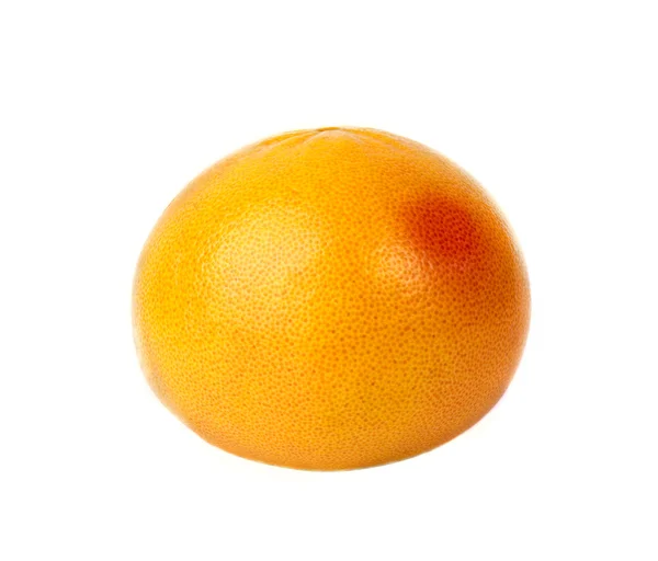 Verse grapefruit geïsoleerd — Stockfoto