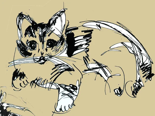 Cool cat portret, zwart-wit, inkt tekenen kat. — Stockfoto