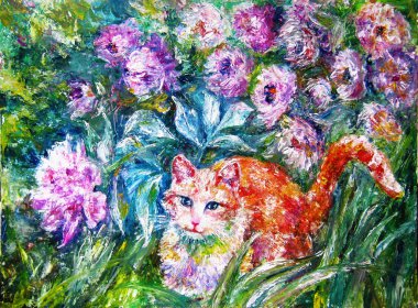  Çok güzel bir kırmızı zencefil kedi bazı g güneşten koruma