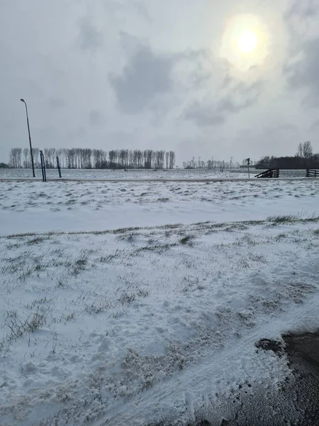又一片草地上覆盖着白雪和阳光 — 图库照片