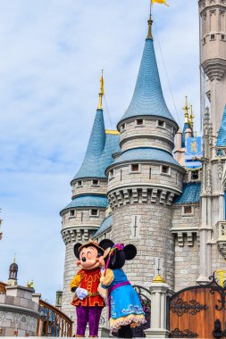 Minnie ve Mickey, Walt Disney Dünyası