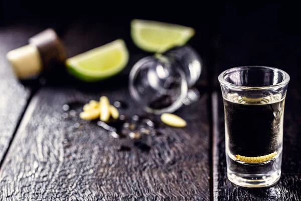 Diversi Bicchieri Con Mezcal Mescal Comunemente Noto Come Tequila Con — Foto Stock