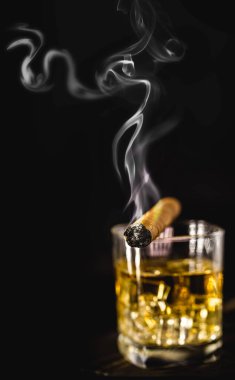 Viski ya da burbon, buzlu bir bardakta malt ile damıtılmış içki, yanında puro, hafif bir duman. Dinlenme zamanı, yaşam tarzı.